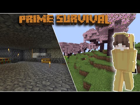 Prime Survival Season II Livestream: Going Deep & Wide!