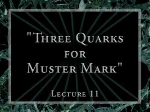 11   Three Quarks for Muster Mark