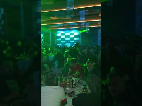 Borko i Tigrovi- Milos Brkic