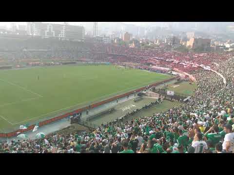 "Atlético nacional" Barra: Los del Sur &bull; Club: Atlético Nacional