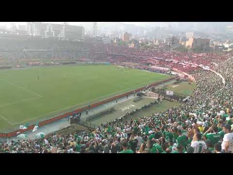 "Atlético nacional" Barra: Los del Sur • Club: Atlético Nacional • País: Colombia