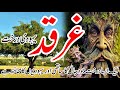 Secrets Of The Gharqad Tree Revealed Urdu Hindi شجر غرقد