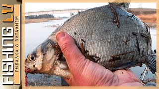 Рыбалка на карася леща линя и щука