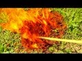 BIT AND STUNG BY FIRE ANTS? REMOVE THEM WITH GAS AND FIRE!