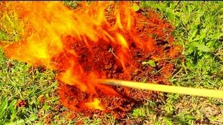 BIT AND STUNG BY FIRE ANTS? REMOVE THEM WITH GAS AND FIRE!