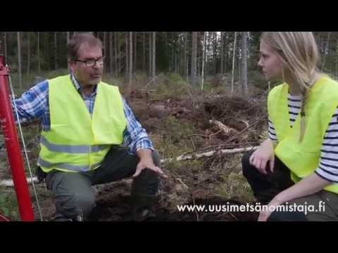 UPM Uusi metsänomistaja - Maanmuokkaaminen