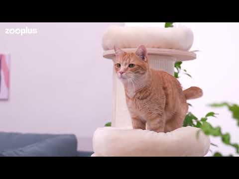 Rascador Natural Paradise Jasmine L para gatos