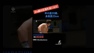 【プロレス】2mを超える巨人、納谷幸男を蹴りで追い込むHARASHIMA