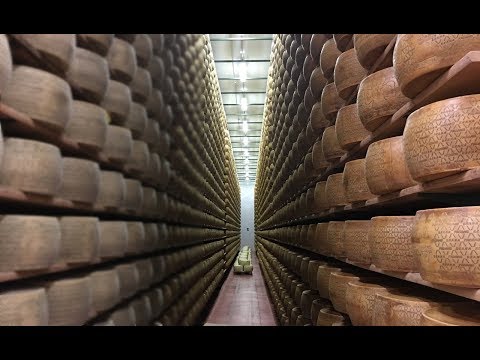 How Italian Cheese is Made?🧀🇮🇹 Inside a Cheese Factory