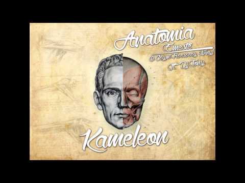 4. Emeste x O.C.T.W. - Kameleon feat. DJ Tony (Anatomia LP)