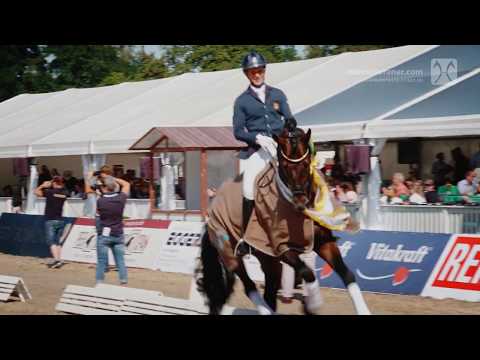 Hannoveraner Reitpferde-Championat 2019 - Vierjährige Hengste: Frizzantino