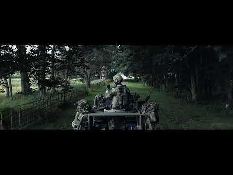 Irish Army Ranger Wing - ARW