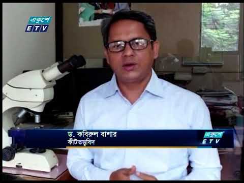 বিশ্বে সাড়ে তিন হাজার প্রজাতির মশা আছে