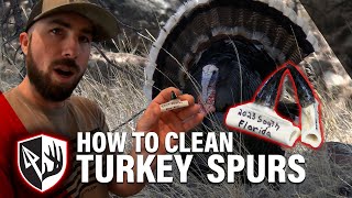 How To Clean Turkey Spurs