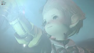 Finsterwald Baelsar Wall (っ˘̩╭╮˘̩)っ