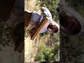 How To BEE Safe Around BEEs