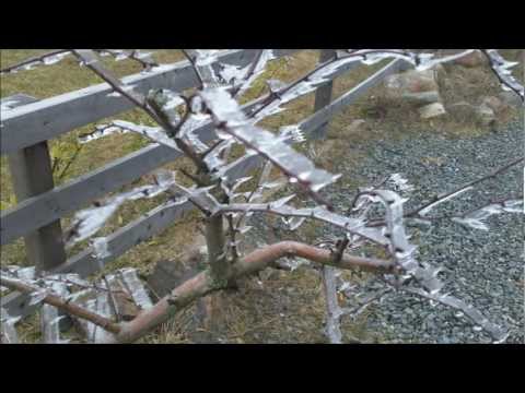 Goetheweg..vom Torhaus auf den Brocken