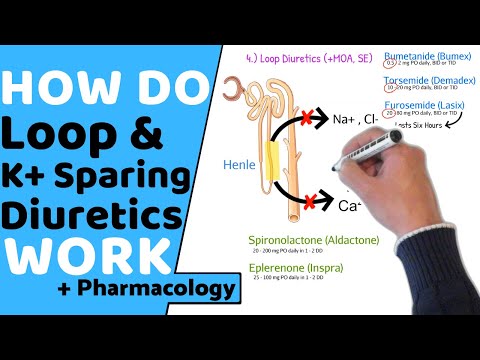 How do Loop & Potassium Sparing Diuretics Work? (+ Pharmacology)