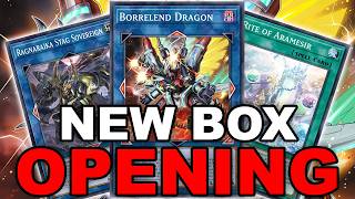 NEW BOX OPENING! ROKKET, ADVENTURE, PLANT, RAGNARAIKA + MORE! (Yu-Gi-Oh! Duel Links)