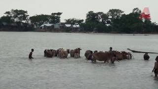 Dekhar Hawar. Sunamganj.