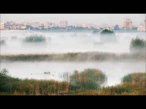 Maia Ciobanu (*1952): Symphony no. 1 "Journal '88" (1988)