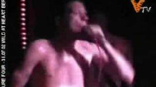 VEGAN TV - Figure Four - New Day