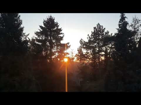 Fee Badenius - Dazwischen