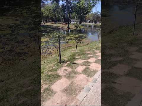 Una parte muy linda del, parque sarmiento 🎢 🎡 🌅 ⛵ 🚴 Córdoba capital 🌇 argentina 🇦🇷 Parte 3️⃣