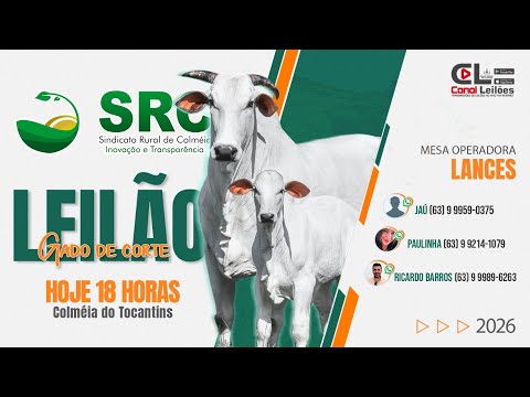 MEGA LEILÃO GADO DE CORTE SRC LEILÕES | COLMÉIA-TO 24/02/2026