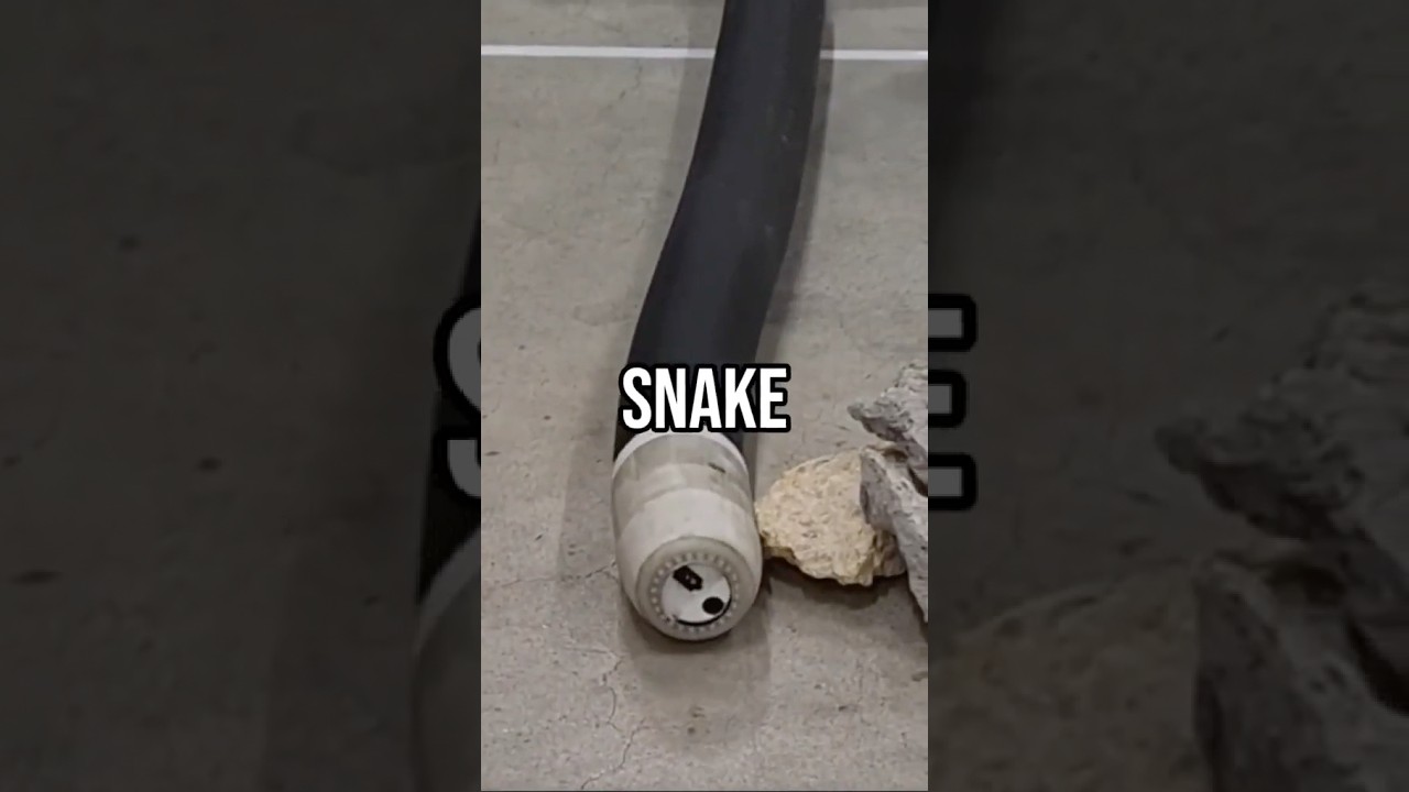 Roboa: The Snake Robot #shorts #tech