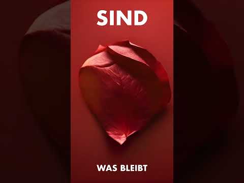 SIND - Was Bleibt