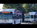 Glendale Beeline 2005 New Flyer C40LF B58
