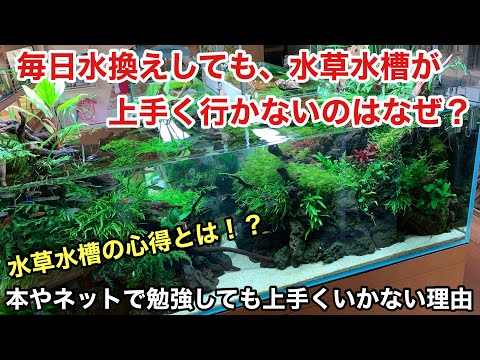 水草の植え方は？正しい選択をするために知っておくべきことすべて!  庭園