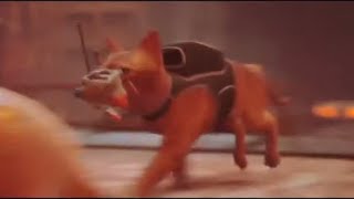 猫好きがStrayを初見プレイ！_Part3