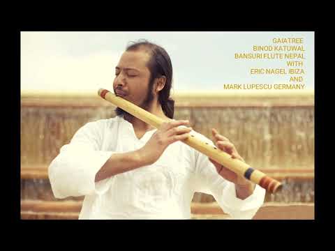 GAIATREE BINOD KATUWAL FEAT ERIC NAGEL IBIZA AND MARC LUPESCU GERMANY.