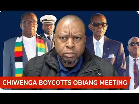Chiwenga Snubs Mnangagwa at Obiang State Dinner: Power Struggle Deepens