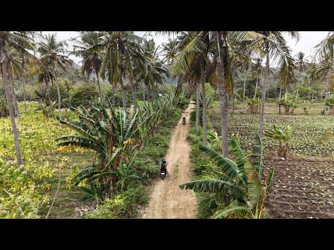 Driving To Tampah Beach @BCL.COSMIN #lombok 