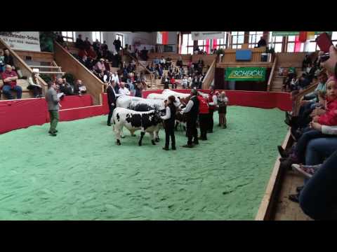 Pustertaler-Sprinzen