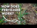 How Does Fertiliser Work?