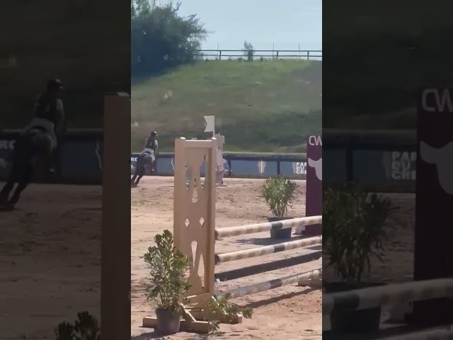 Poney polyvalent 5 ans cce, cso