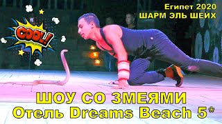 Dreams bech resort отель в Шармэльшейх в 
Египте, анимация.В отелях Шармэльшейха 
проводится каждый вечер 
анимация.Вечерние представления в отеле 
Dreams bech resort
#oтдыхвкгипте 
#шврмэльшейх#отдыхвшармэльшейе