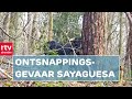 Actie om uitbreken Sayaguesa-runderen te voorkomen | RTV Drenthe