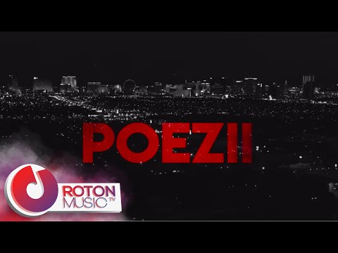 Dj Dark X Mentol X Delia Rus - Poezii | Lyric Video