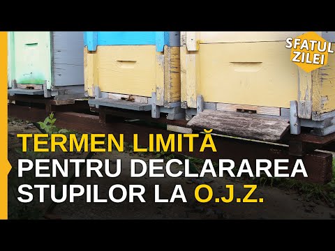 Termen limita pentru declararea stupilor la OJZ