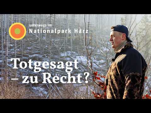 Harz in Not? Waldzustand vor Ort untersucht