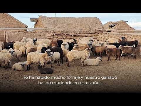 Medidas de Acciones Anticipatorias del Ayllu Sora Chico en Bolivia