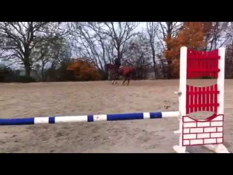 Landor Acorado  Lasino Cartago