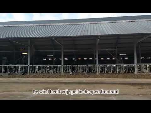 Extra #1 Kalfjes met een jas en muren van strobalen || Boerin Geer