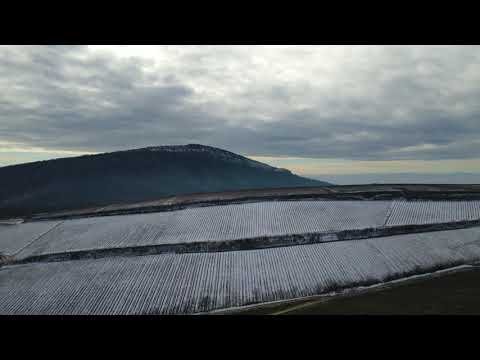 Vinny Blake - Villány Edition - Wine Region Intro