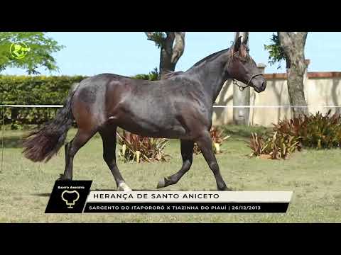 Herança de Santo Aniceto